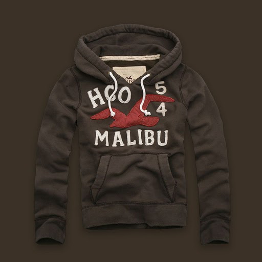 Hollister Hombres Outlet Capucha HCO4599